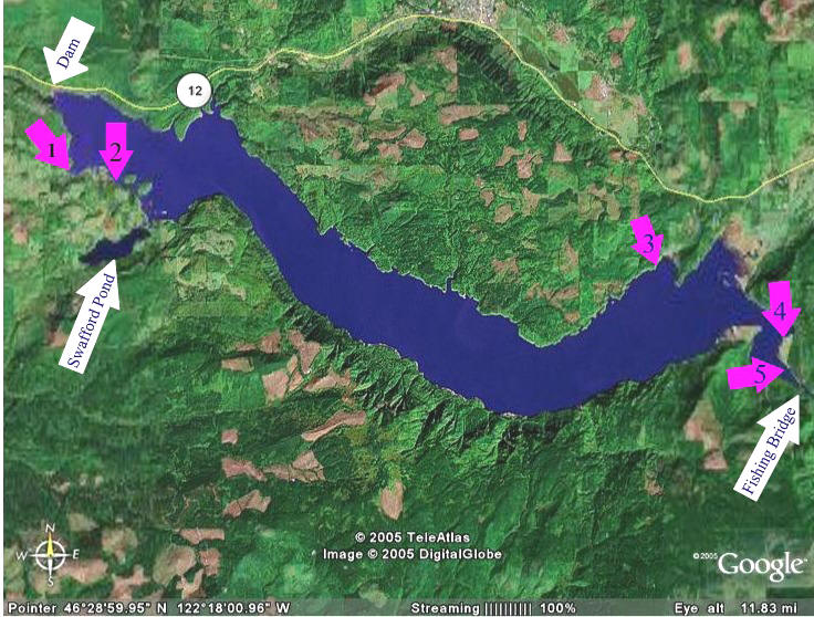 Riffe lake camping